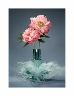 Limited Edition Archival Inkjet Print by Martin Klimas, Untitled (Paeonia IV)