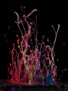 Martin Klimas, Diana Ross, Upside Down, Photograph, Abstract Paint Explosion