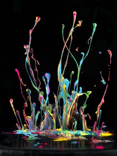 Martin Klimas, Jamiroquai, Space Cowboy, Photograph, Abstract Paint Explosion