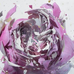 Martin Klimas, Purple Rose, Exploding Flower, Photograph, Abstract Explosion