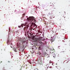 Martin Klimas, Red Rose, Exploding Flower, Photograph, Abstract Explosion