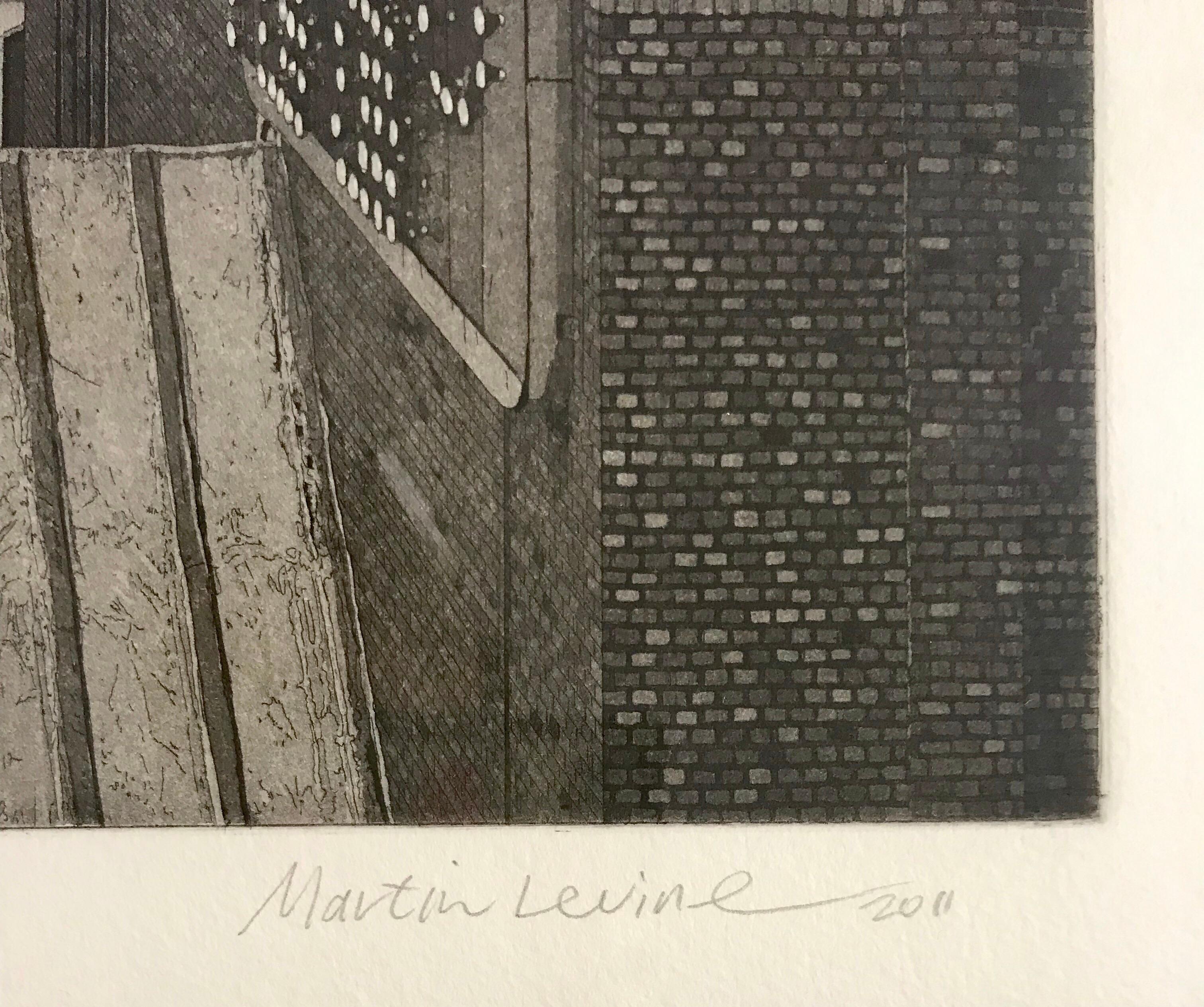 Contemporary Martin Levine 