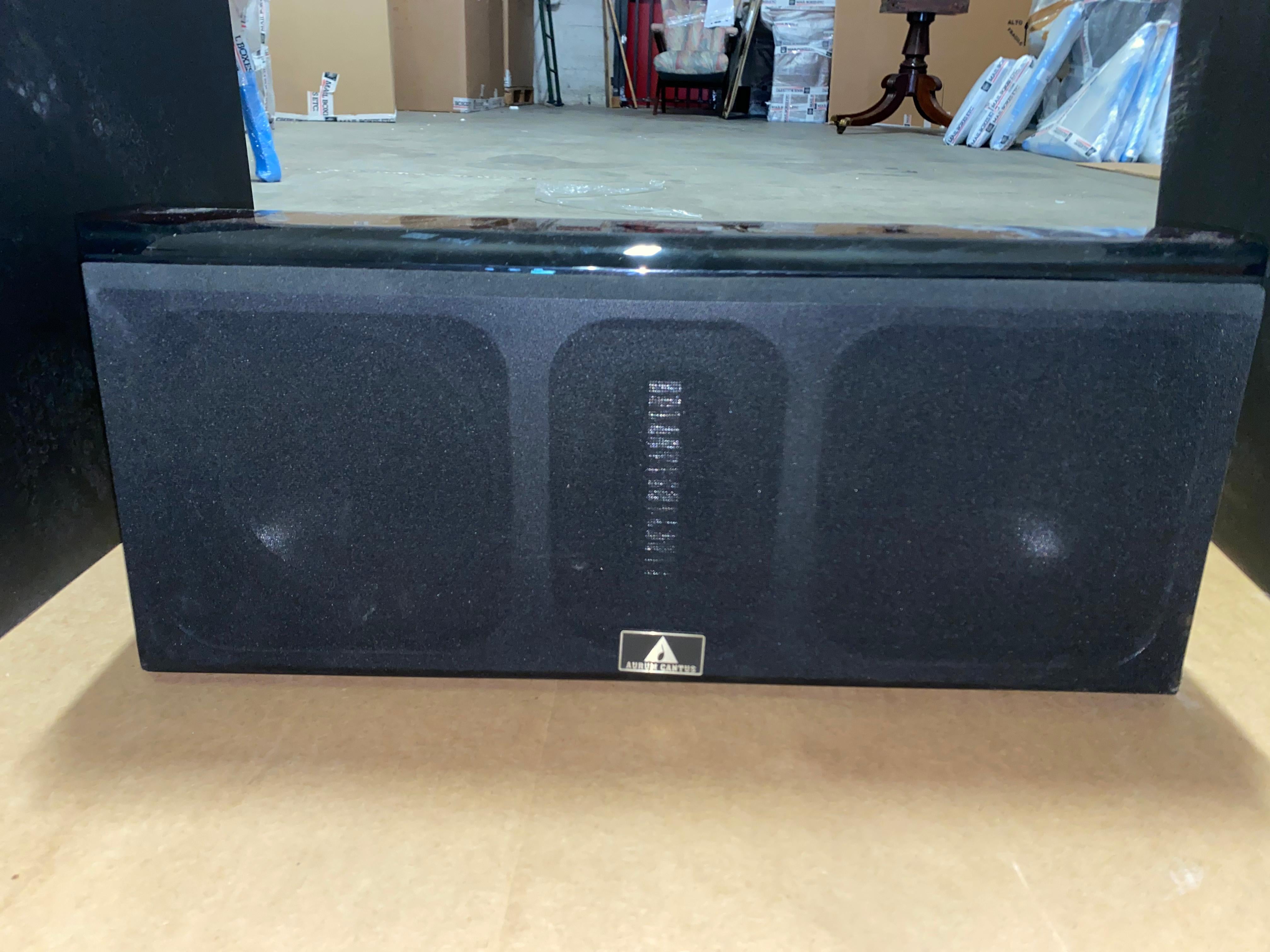 Américain Martin Logan Ascent / Subwoofer Velodyne / Rótel RSX - 1055 AV Amplifier / Autum en vente