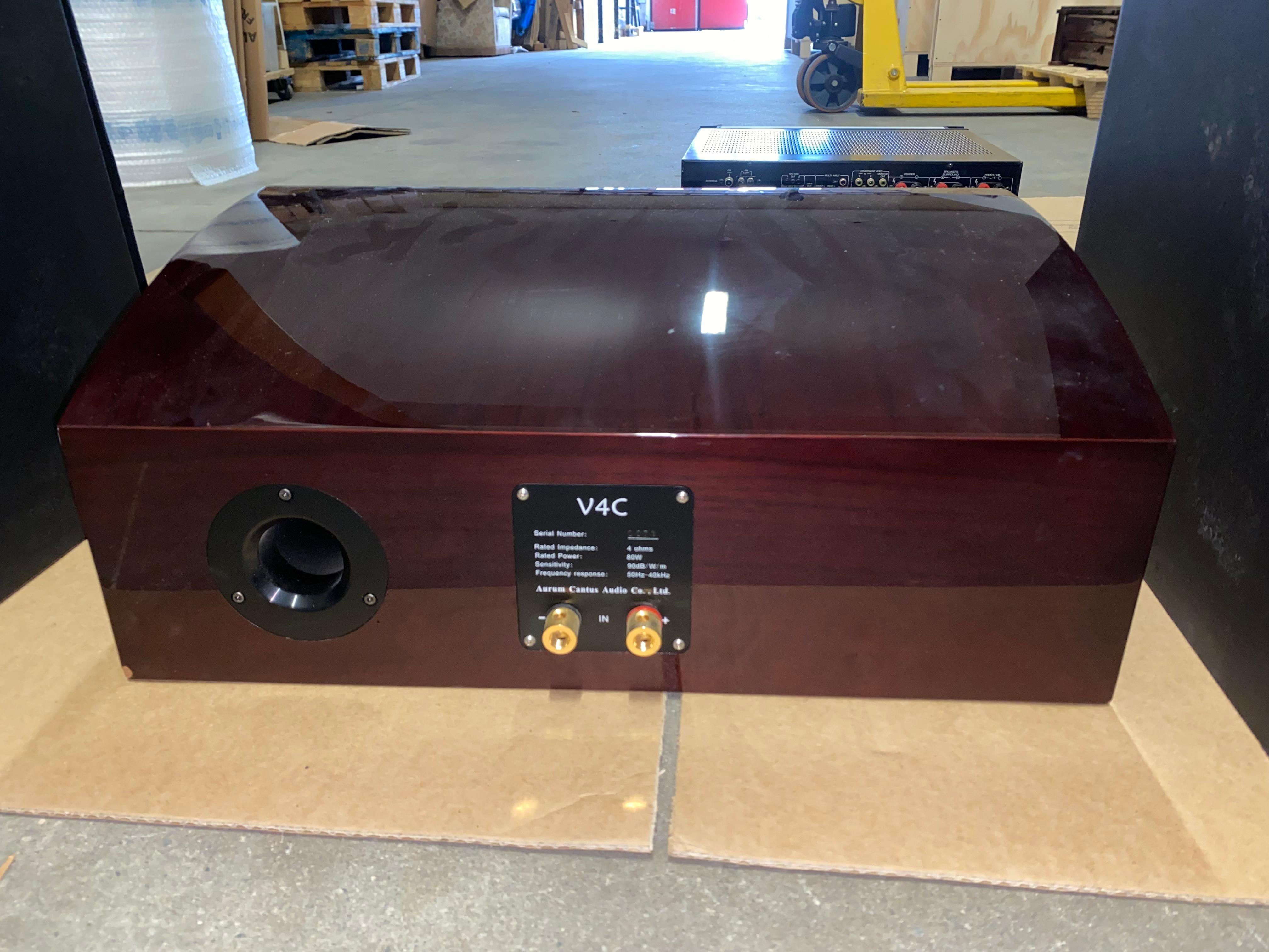 Bois Martin Logan Ascent / Subwoofer Velodyne / Rótel RSX - 1055 AV Amplifier / Autum en vente