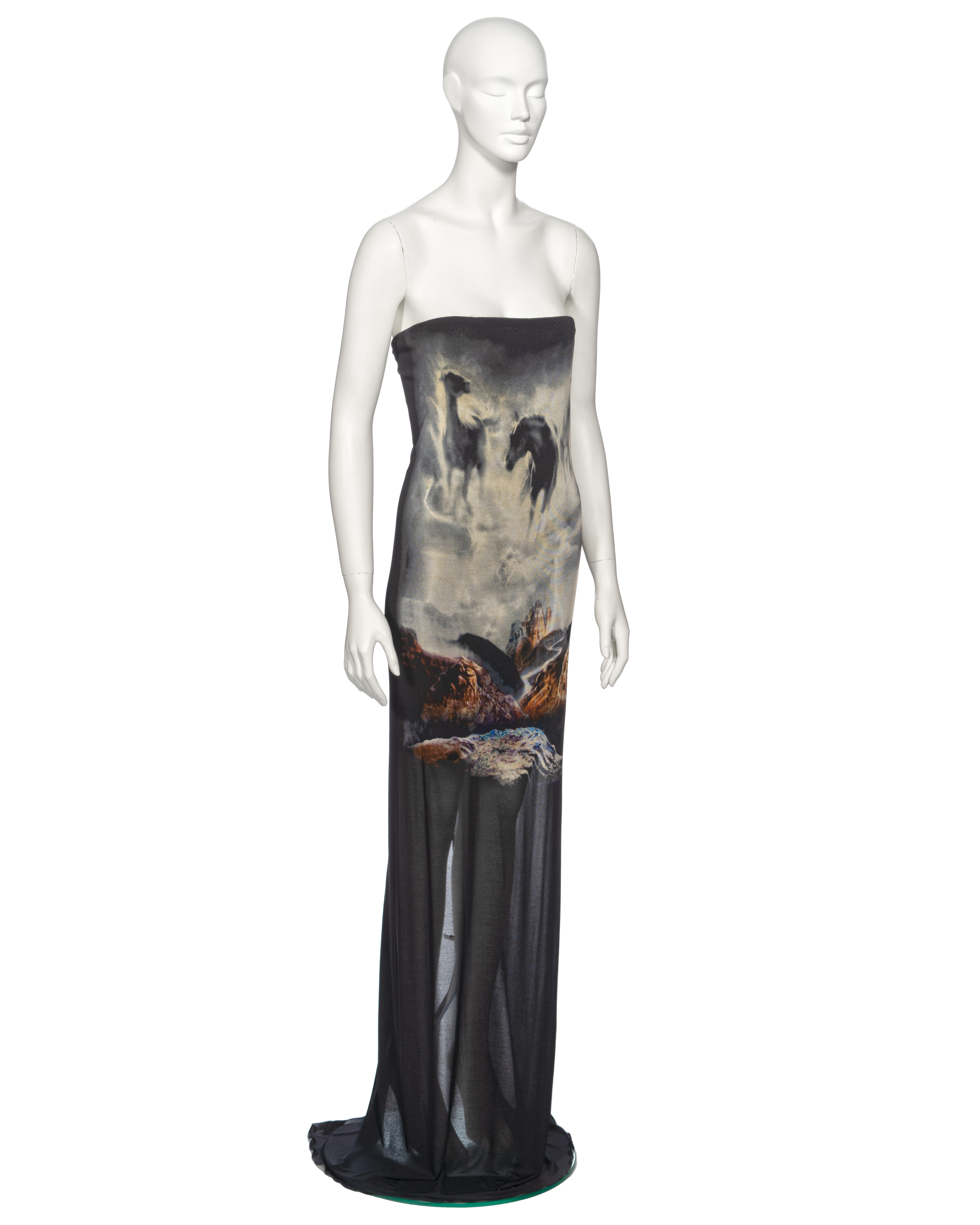 Martin Margiela Strapless Bandeau Maxi Dress with Horse Print, ss 2008 1