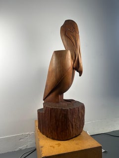 Pelican