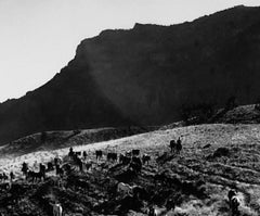 Horses with Mountains, Silver Gelatin Print, Landscape Photography