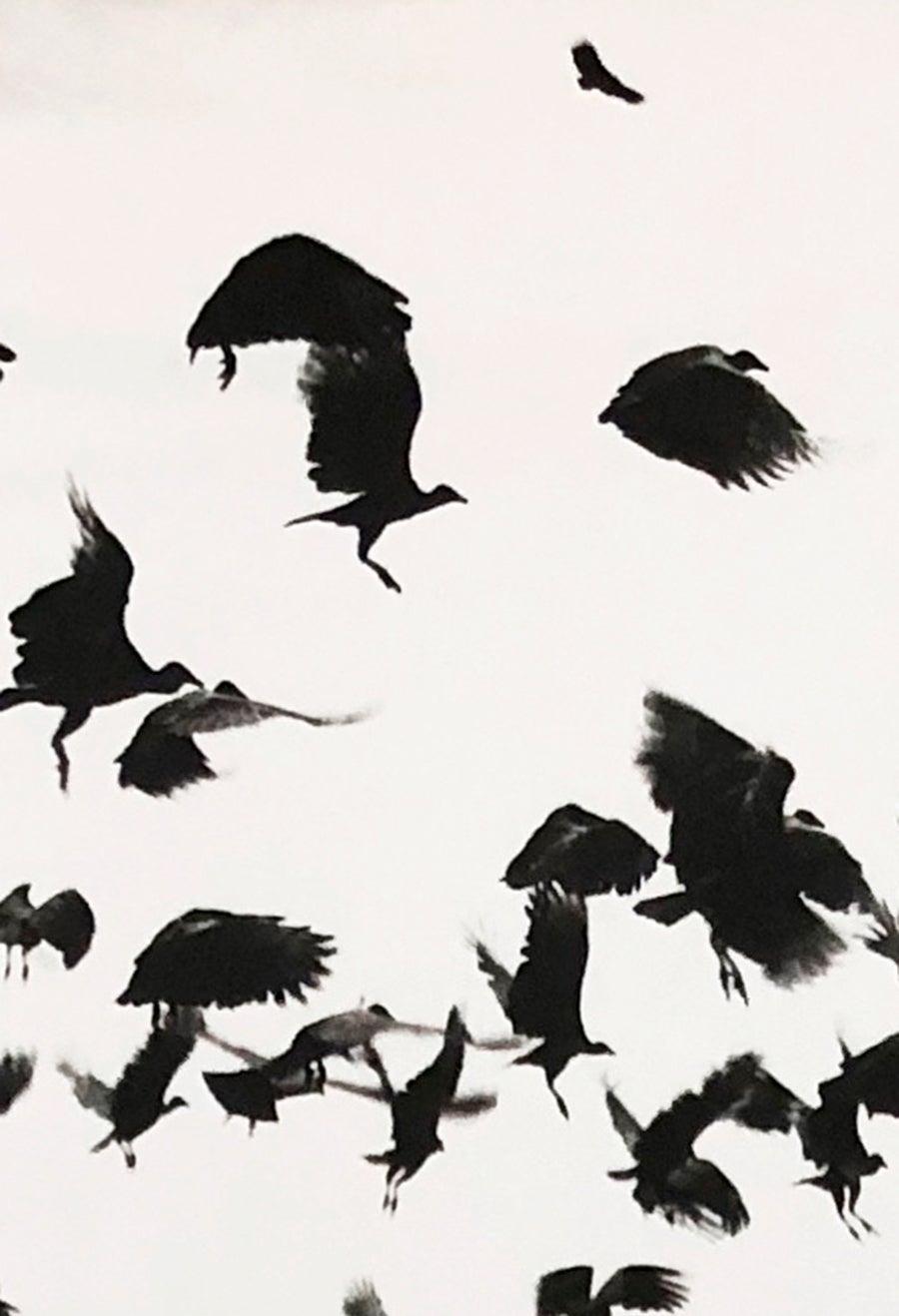 Birds in Flight, Silver Gelatin Print - Photograph by Martin Munkacsi