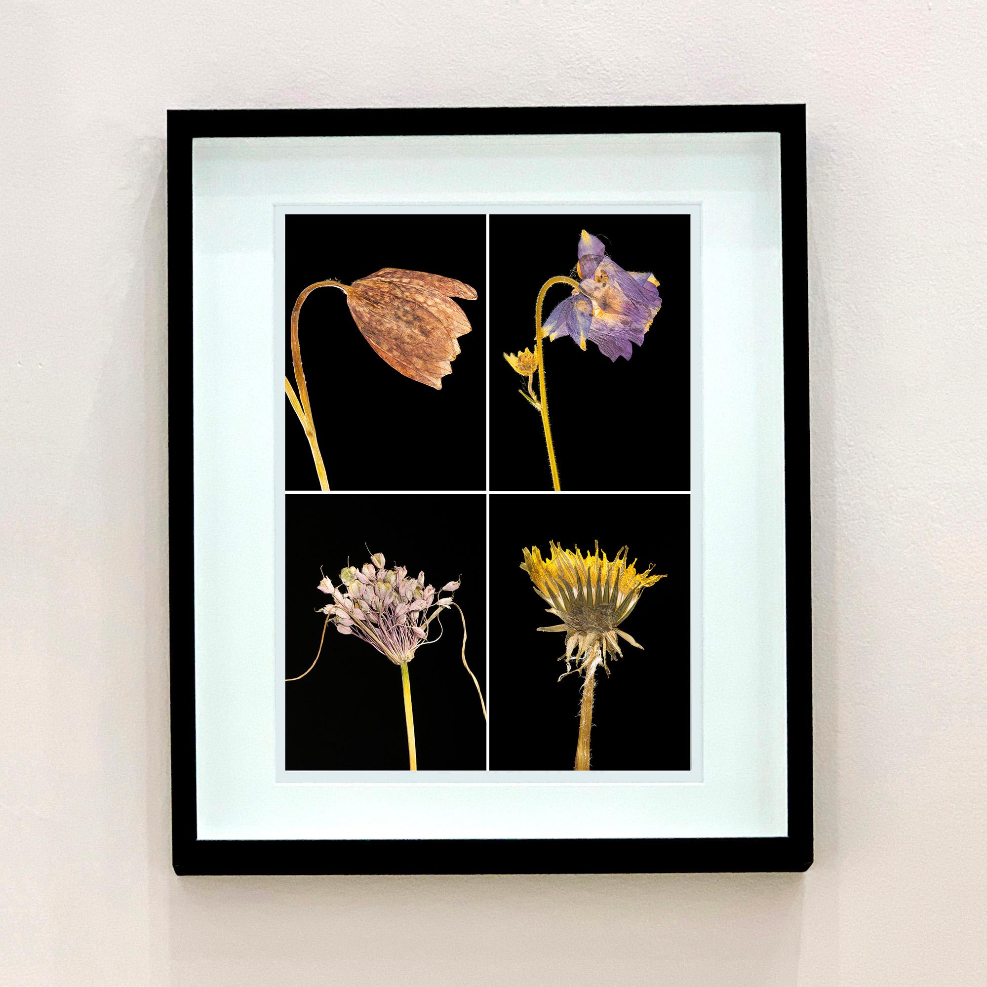 Set of Four Framed Floral Botanical Nature Color Photograph For Sale 1