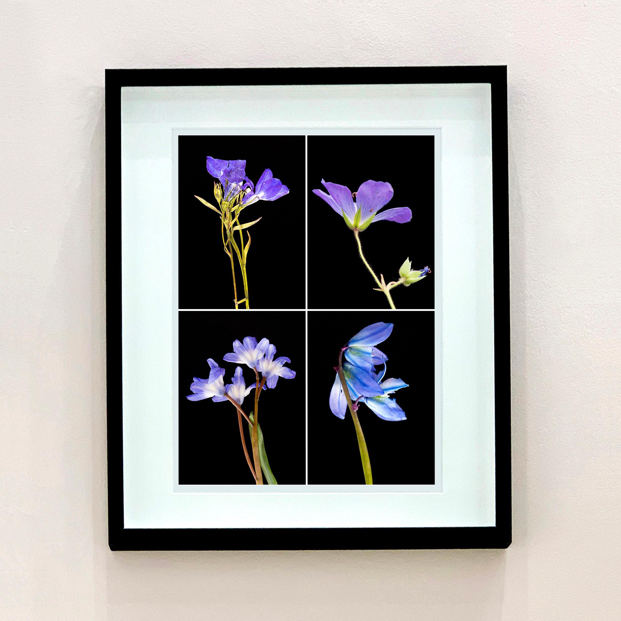 Set of Four Framed Floral Botanical Nature Color Photograph For Sale 2