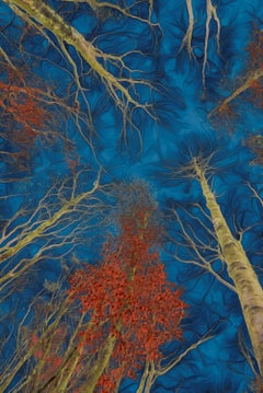 Tejado azul