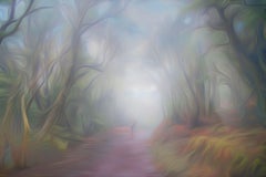 Foggy III
