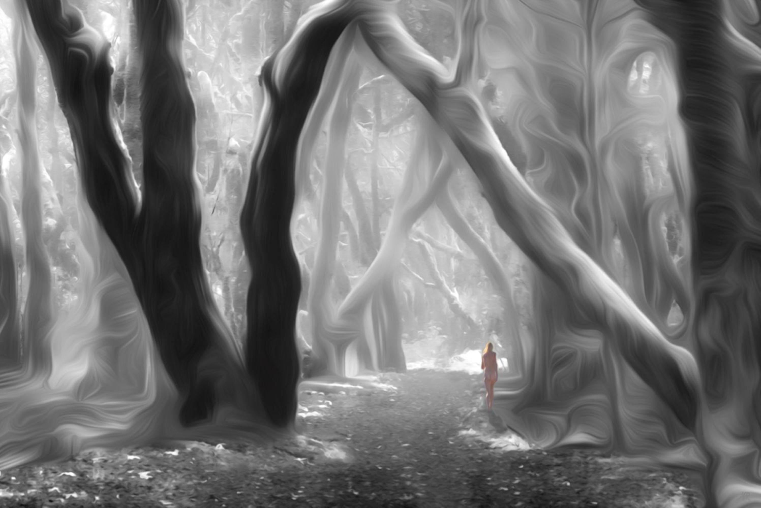 Foggy Walk