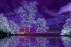Purple Reflection