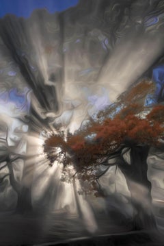 Through Light