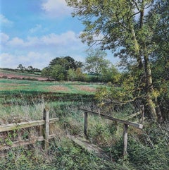Martin Taylor, Into the Field, Oil Painting of Northamptonshire Countryside