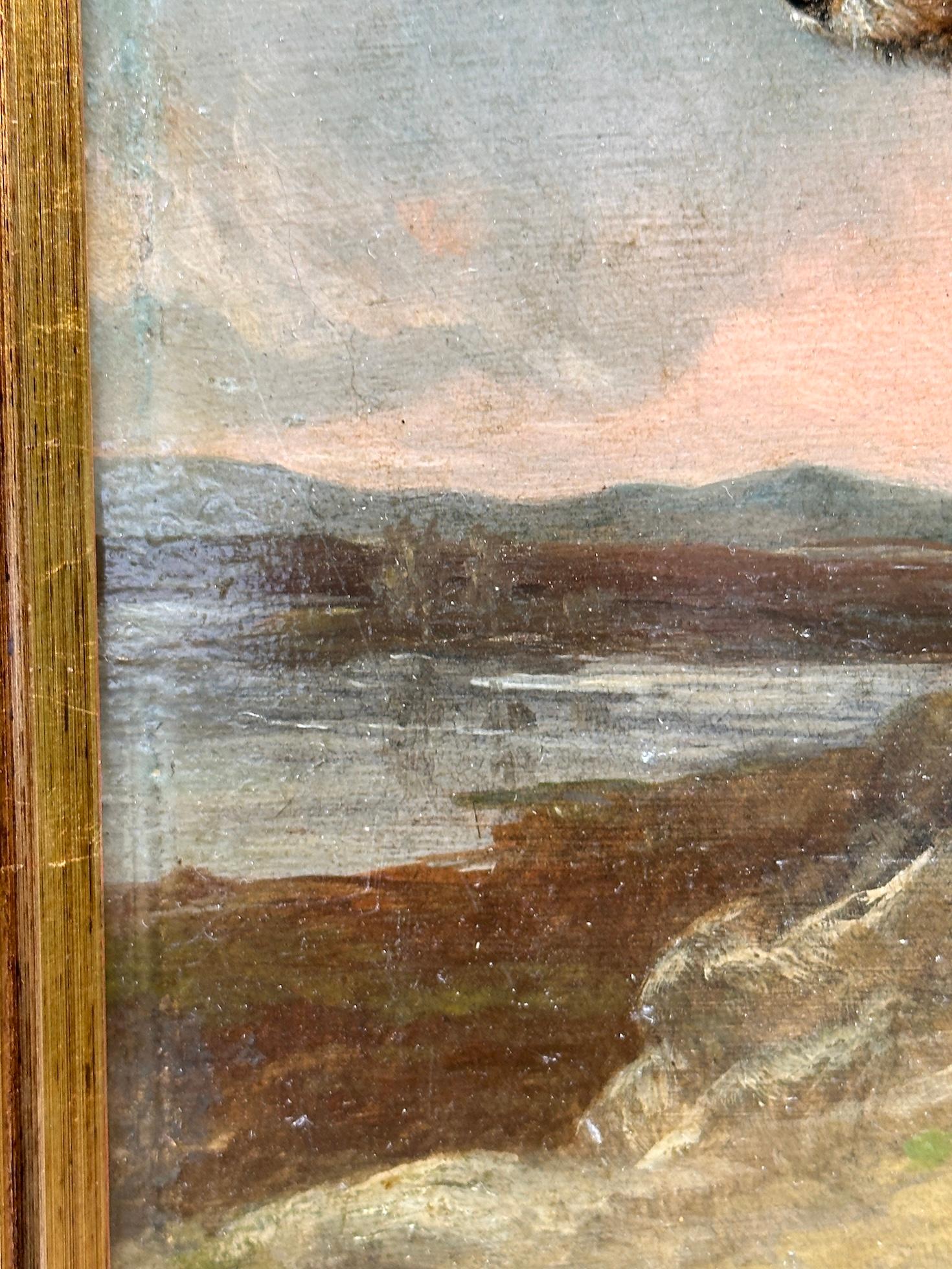 Portrait victorien anglais du 19e siècle d'un épagneul debout dans un paysage en vente 4