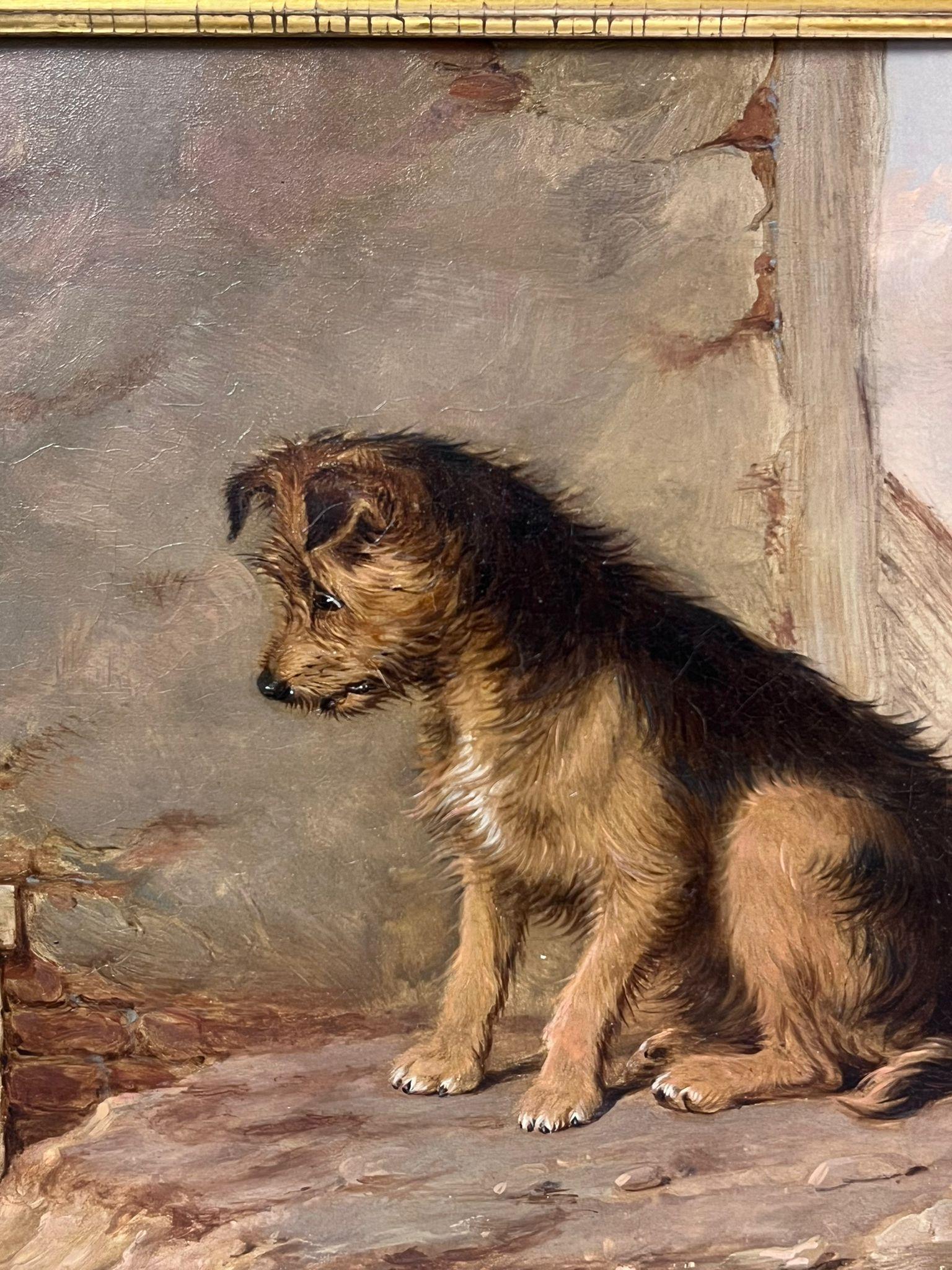 Fine Victorian Oil Painting Portrait of Scruffy Terrier Dog Staring in Gilt Frme For Sale 3