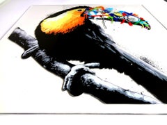 MARTIN WHATSON: Toucan (hand finished acrylic) Street art, graffiti, urban art