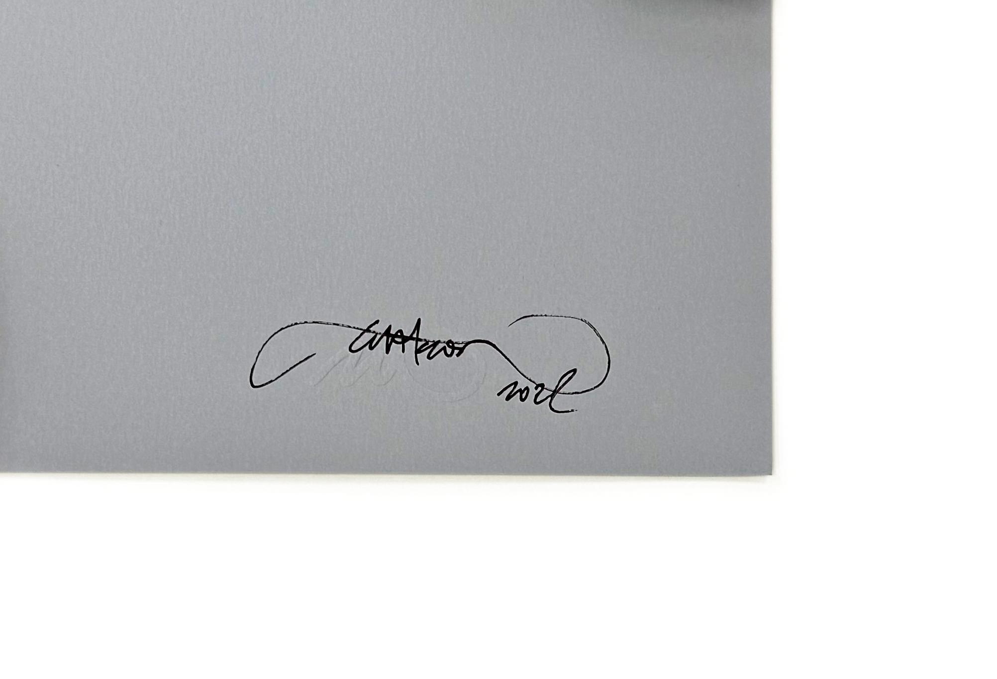 Cracked (rare grey variant signed screen print) - Street Art Print by Martin Whatson