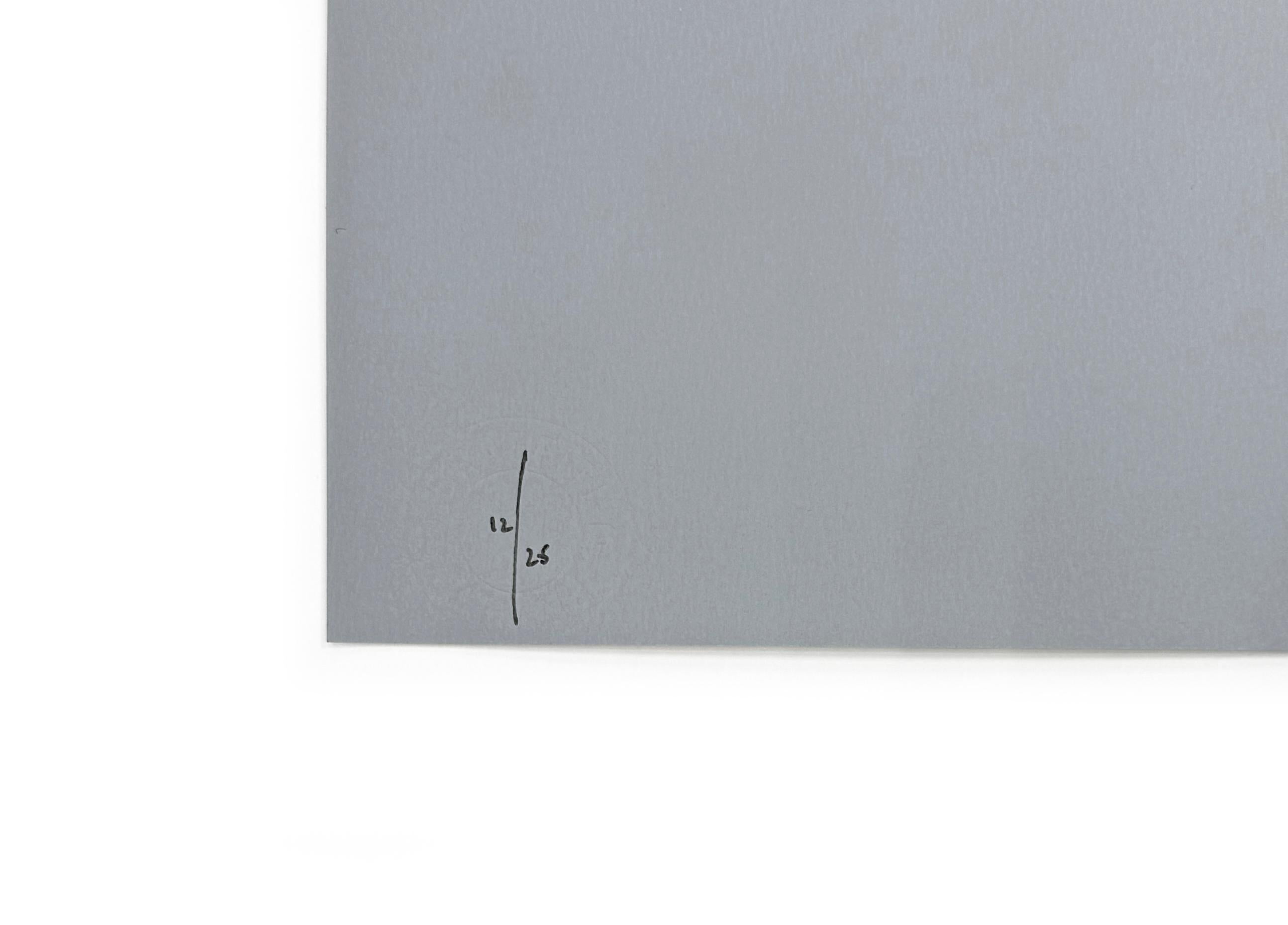 Cracked (rare grey variant signed screen print) - Gray Figurative Print by Martin Whatson