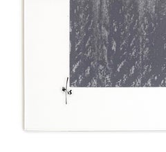 Cracked (rare signed screen print on acrylic)