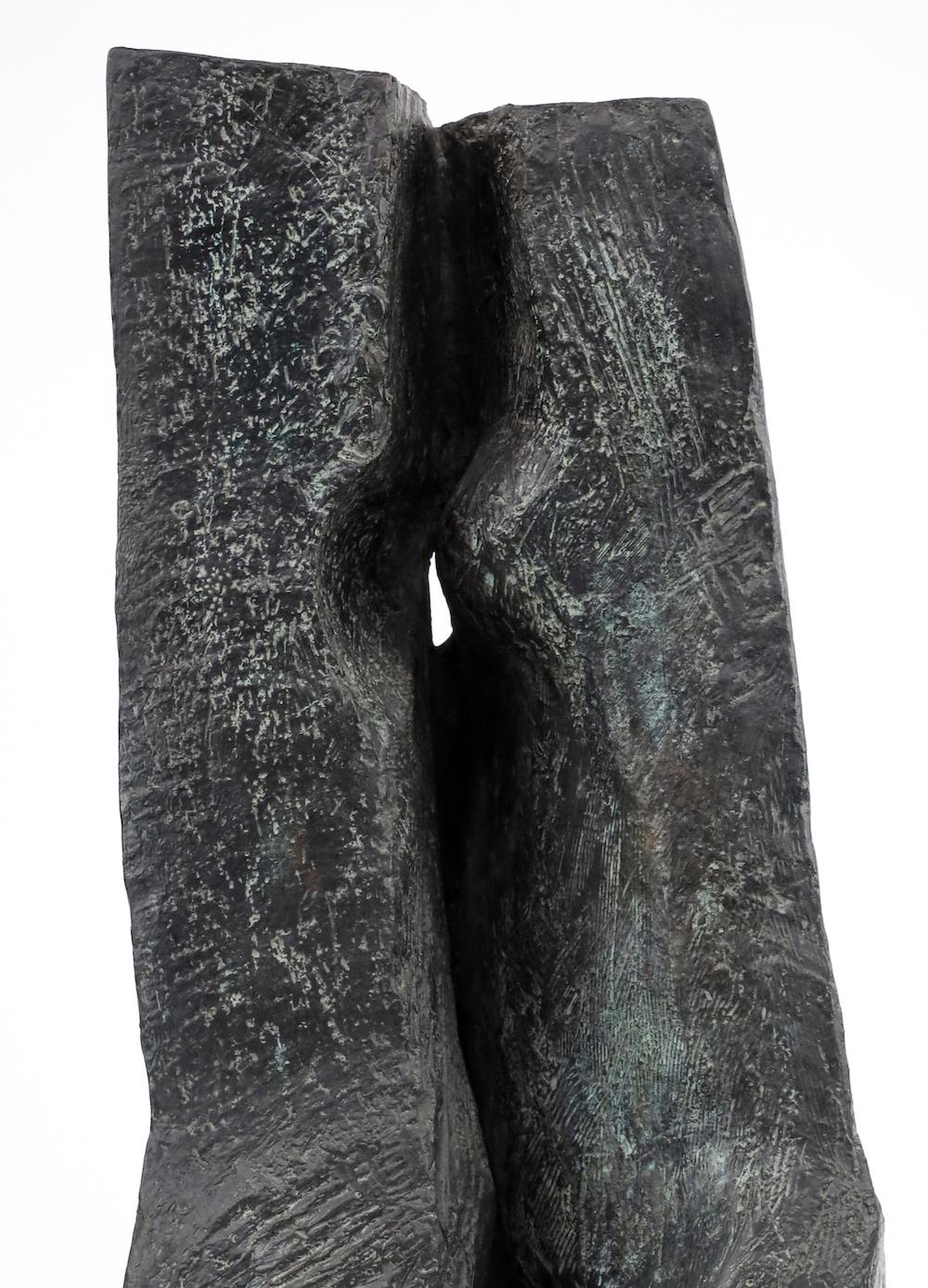 Duo by Martine Demal - Contemporary bronze sculpture, semi abstract For Sale 4