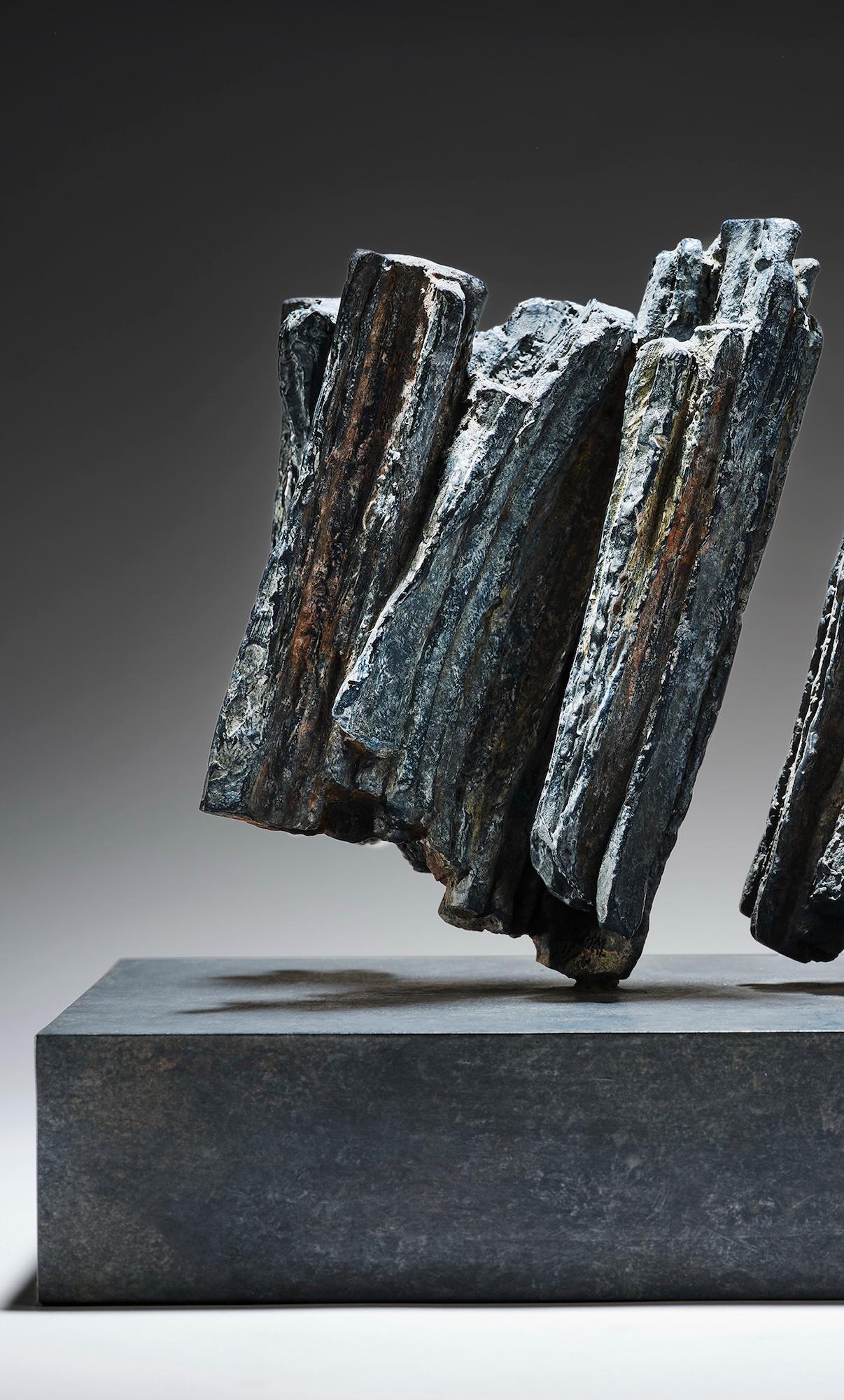 L’une ne va pas sans l’autre by Martine Demal - Bronze sculpture, abstract, dark For Sale 4
