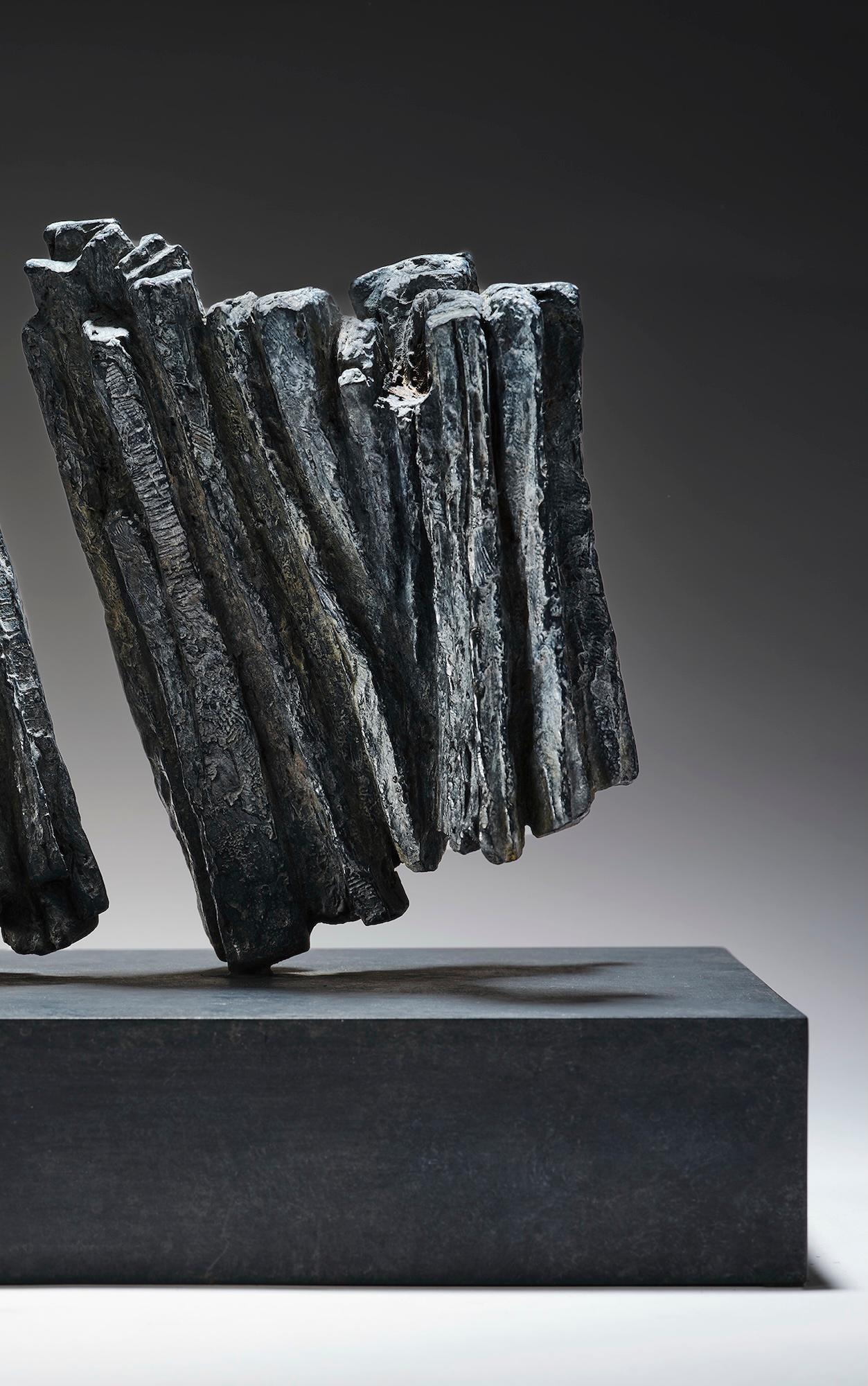 L'une ne va pas sans l'autre de Martine Demal - Sculpture en bronze, abstraite, sombre en vente 5
