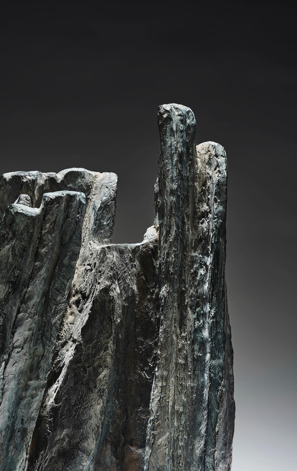 Signes et écrits n° 8 de Martine Demal - Sculpture en bronze abstraite, foncée en vente 3