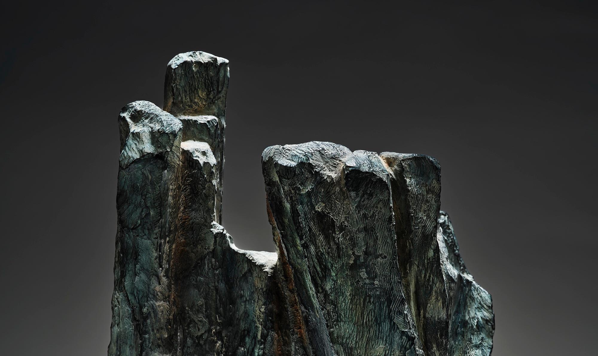 Signes et écrits n° 8 de Martine Demal - Sculpture en bronze abstraite, foncée en vente 4