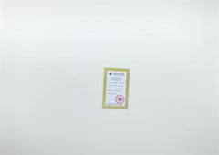 Pink Blossoms  - Lithograph by Martine Goeyens - 2000s