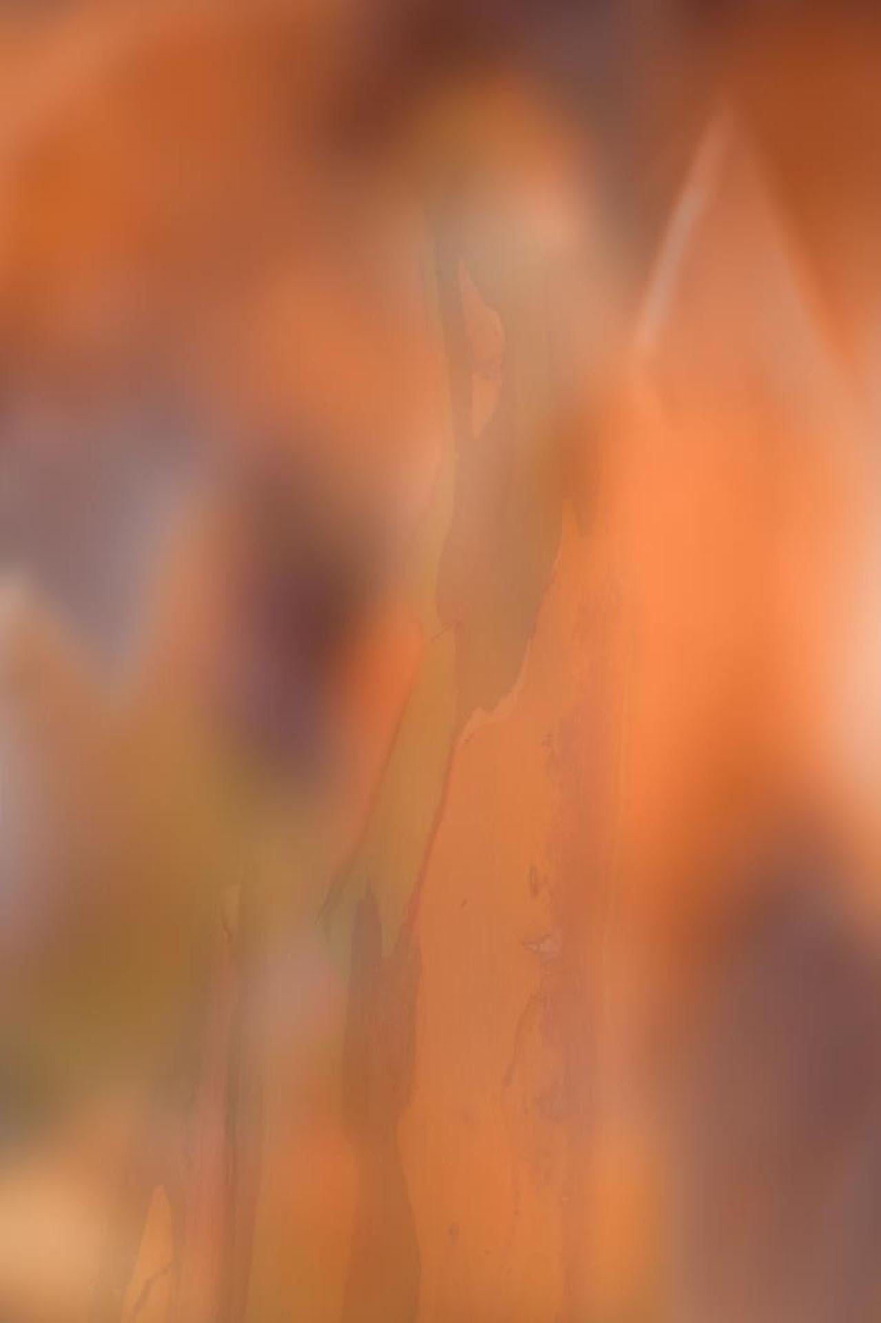 Martine Michaud Landscape Photograph – Transluzide Territorien: Orange