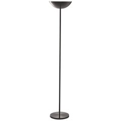 Martinelli Luce V.D.L 2234 Floor Lamp by Richard Neutra