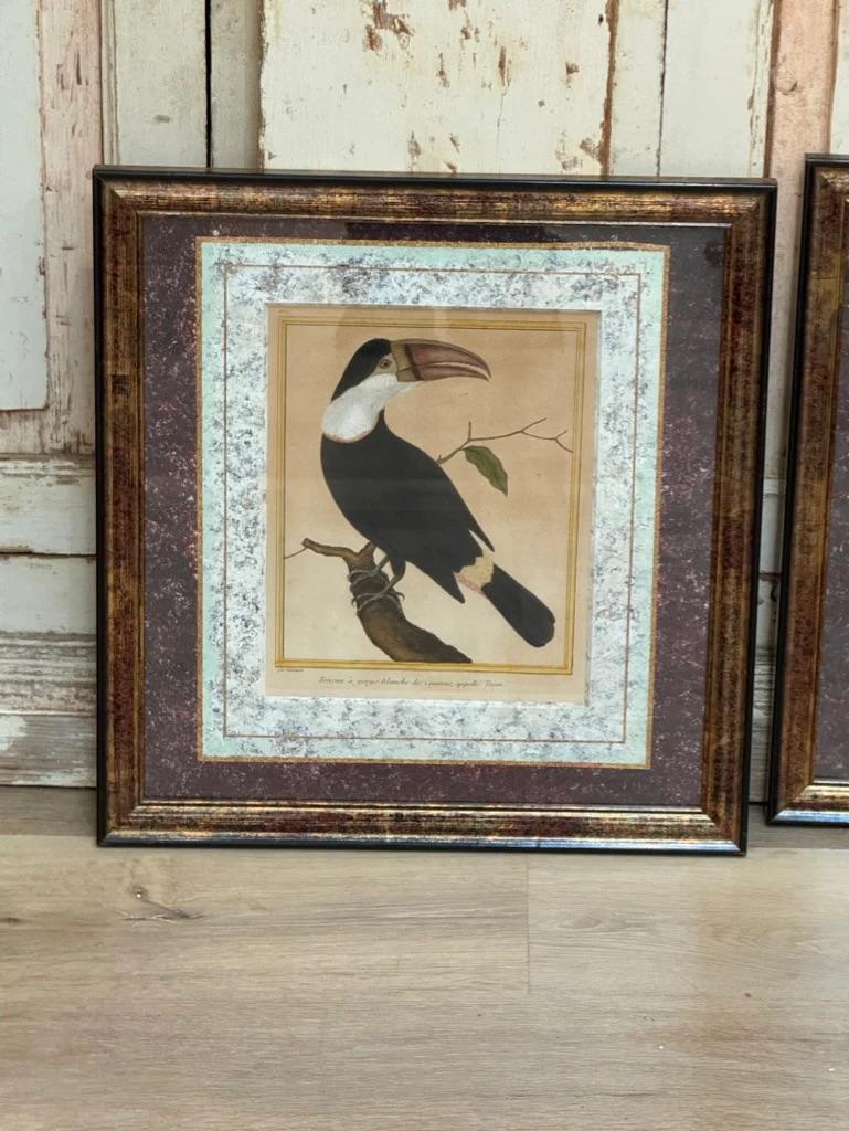 French Martinet Engravings, Framed, Set of Three, Late 18th Century For Sale