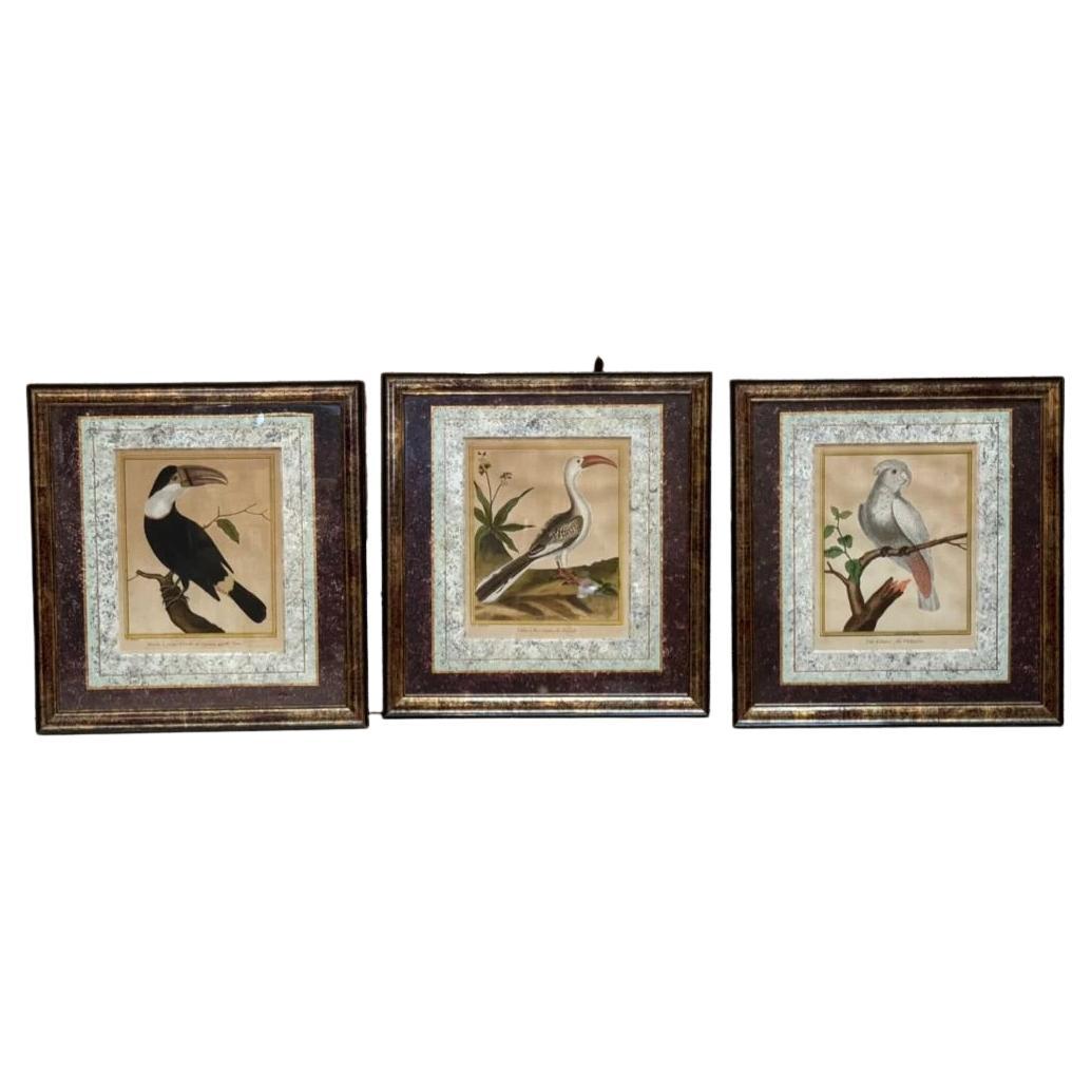 Martinet Engravings, Framed, Set of Three, Late 18th Century For Sale