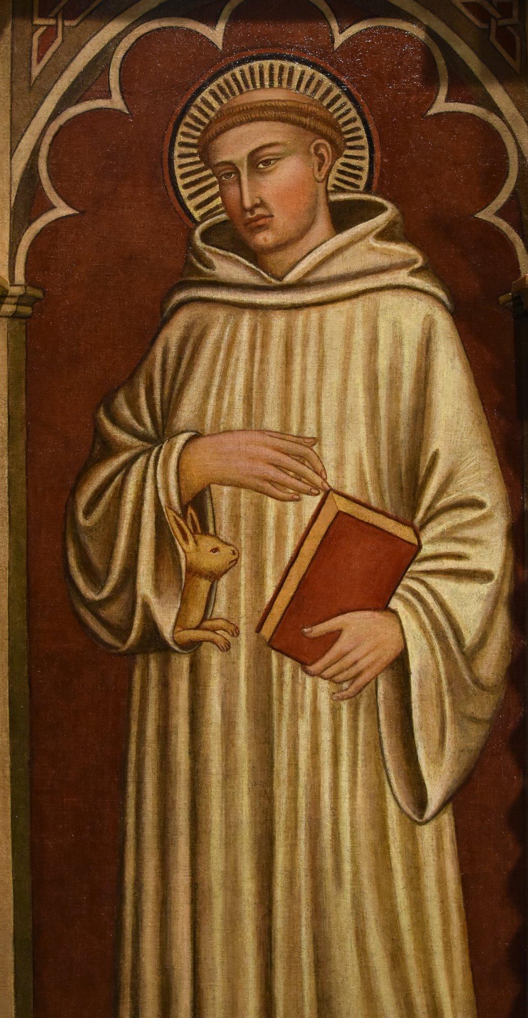 Saint Albert Romuald Paint 15th Century Tempera on table Tuscan school Siena Art For Sale 5