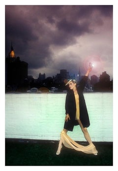 Blondie On The Roof di Martyn Goddard Edizione Limitata Firmata
