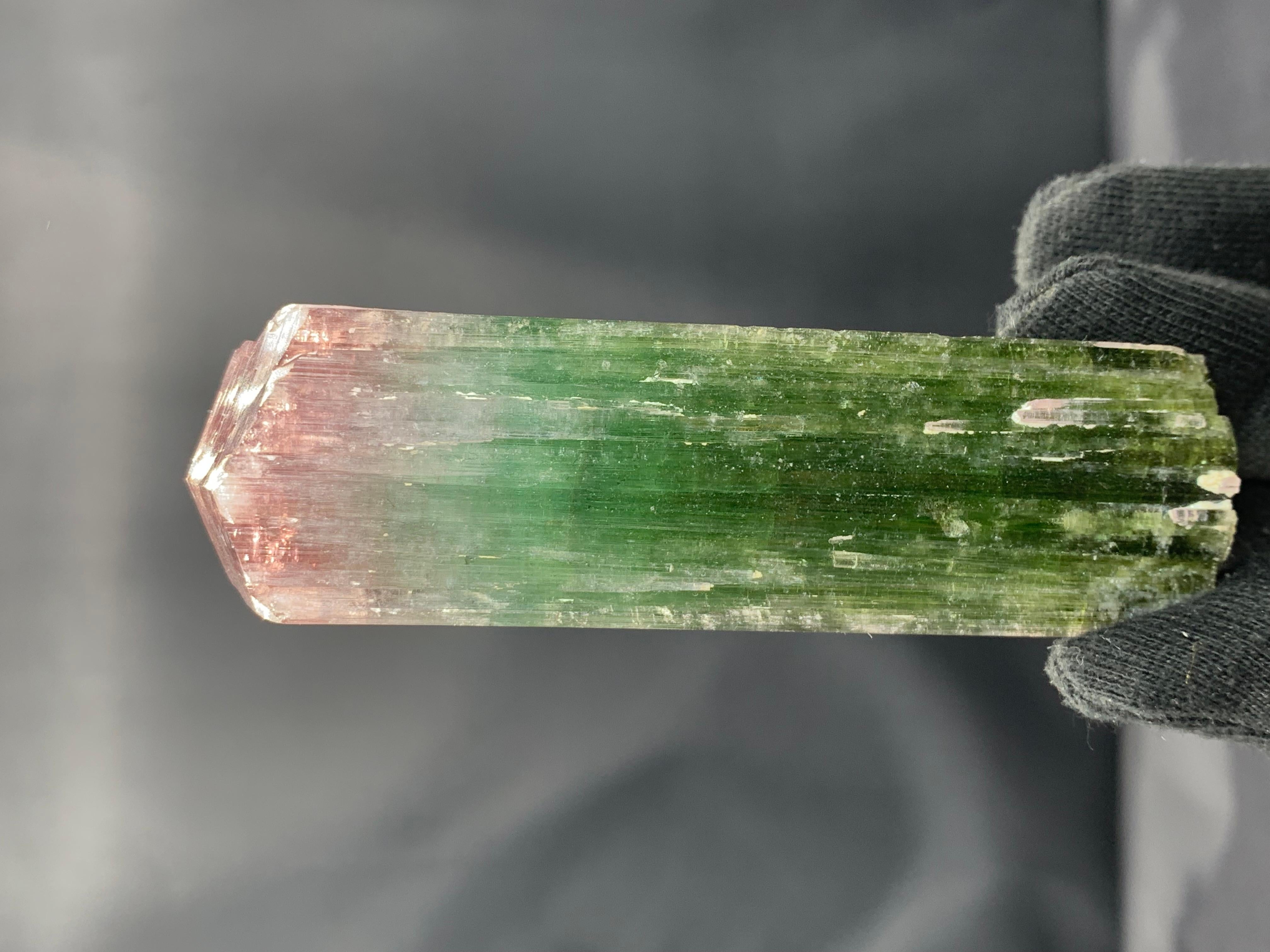 INFORMATIONS SUR LE PRODUIT :

Type de spécimen : Merveilleux cristal de tourmaline bicolore naturel 
Poids : 246 grammes
Dimensions : H : 11,5 x L : 3,3 x P : 3,3 cm : H : 11,5 x L : 3,3 x P : 3,3 cm
Localité : Mine Paprook, province du Nuristan,