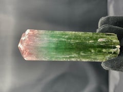 Turmalin-Top aus Rubin in Rosa mit rosafarbenem Top und mintgrünem Korpus aus Afghanistan