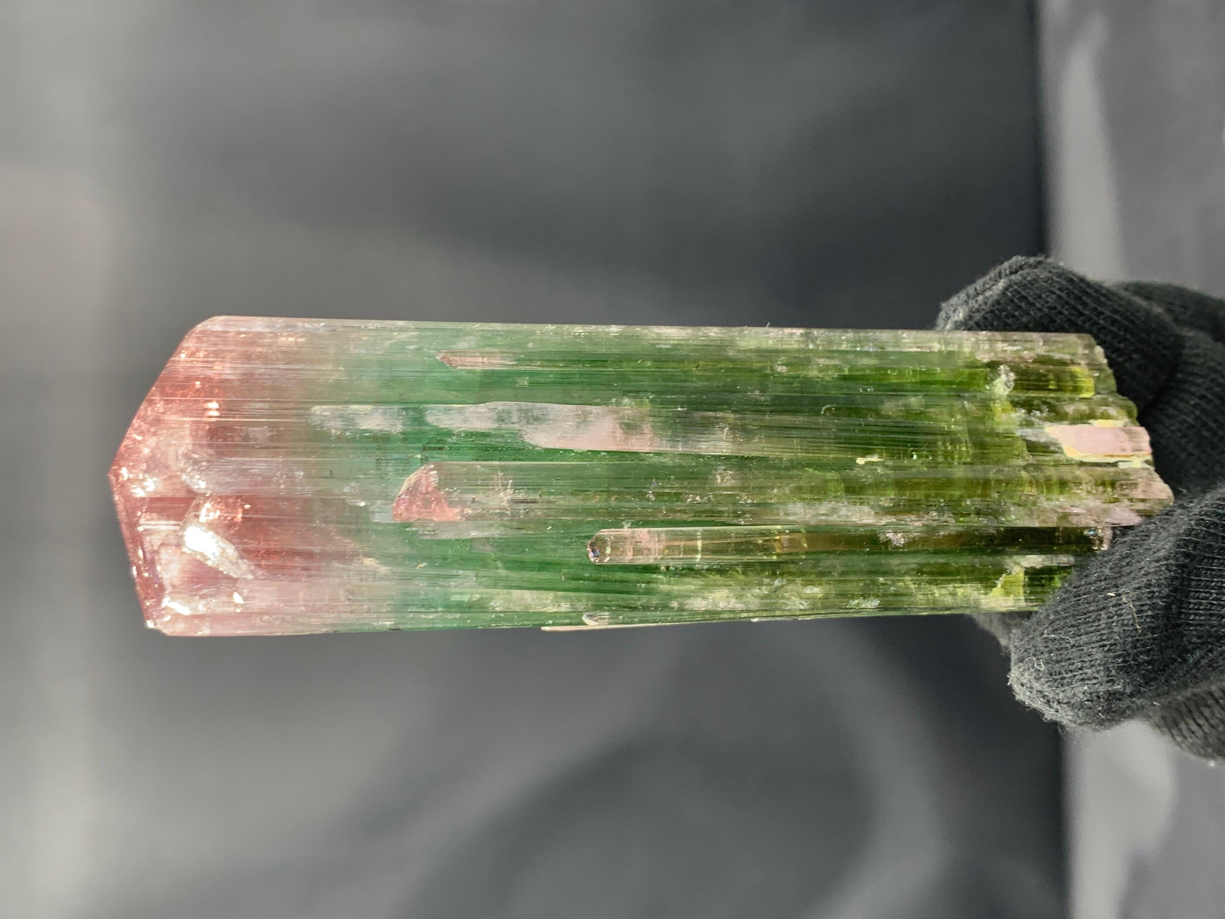 Haut rose rubis et corps vert menthe d'Afghanistan Excellent état - En vente à Peshawar, PK