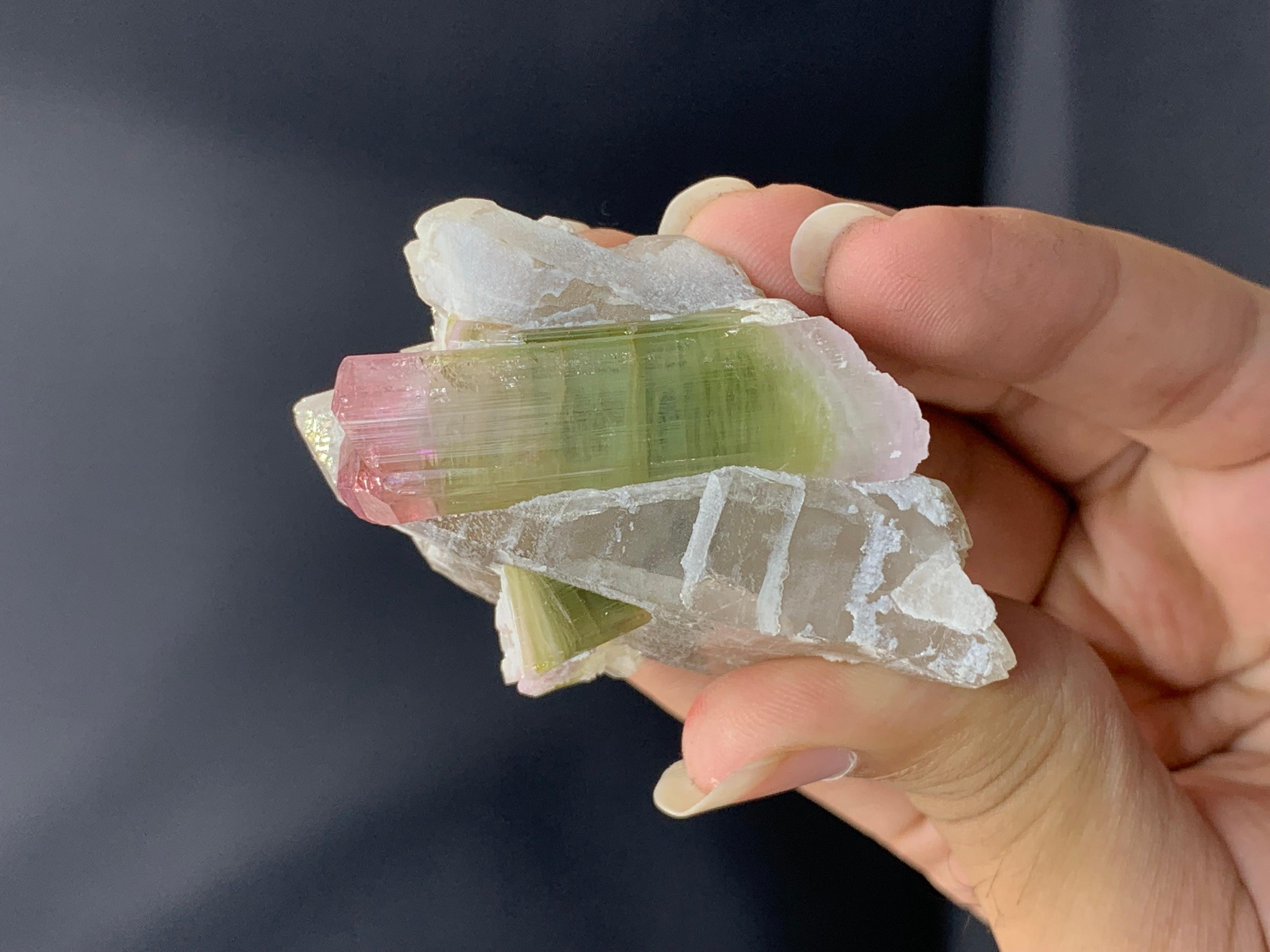 PRODUKTINFORMATION:

Probenart: Turmalin auf Rauchquarz 
Gewicht: 53 Gramm
Abmessungen: 6 x 4,2 x 3 cm
Herkunft: Paprook-Mine, Provinz Nuristan, Afghanistan 
Behandlung: Keine

BESCHREIBUNG:

Dieses bemerkenswerte Exemplar zeigt ein atemberaubendes