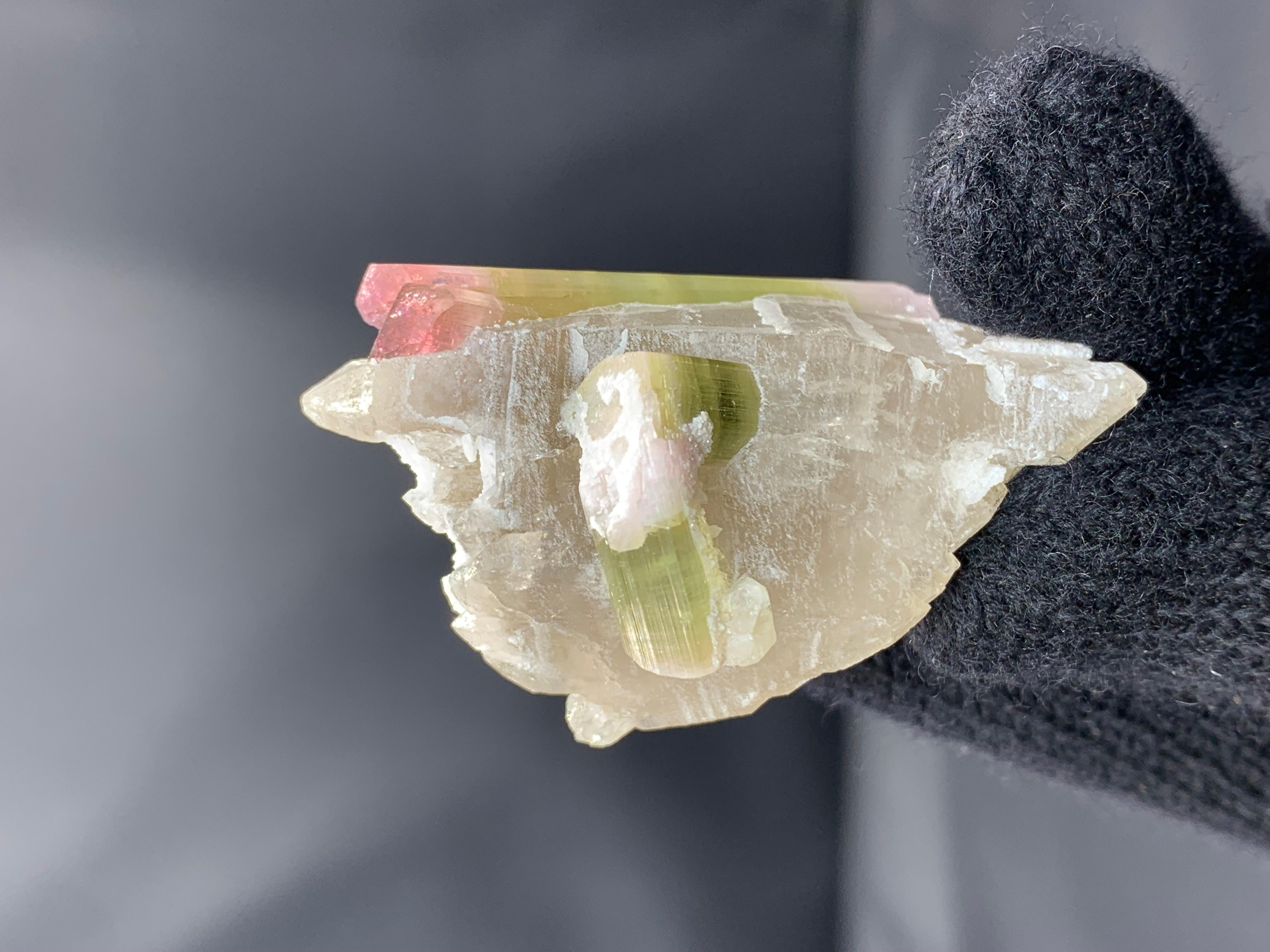 53 Grams Bi Color Tourmaline Crystals On Smoky Quartz From Afghanistan (Adamstil) im Angebot