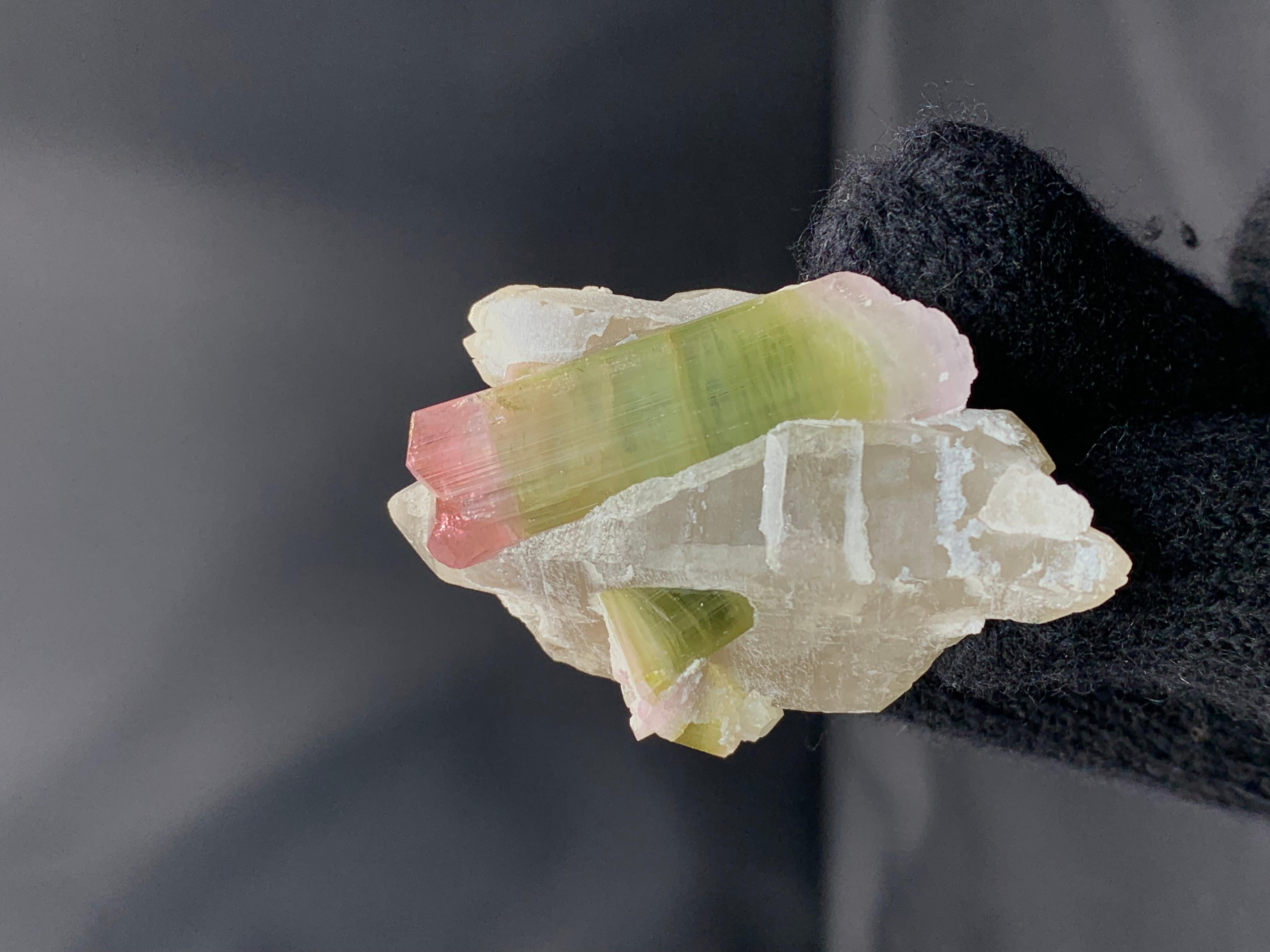 53 Grams Bi Color Tourmaline Crystals On Smoky Quartz From Afghanistan (Afghanisch) im Angebot