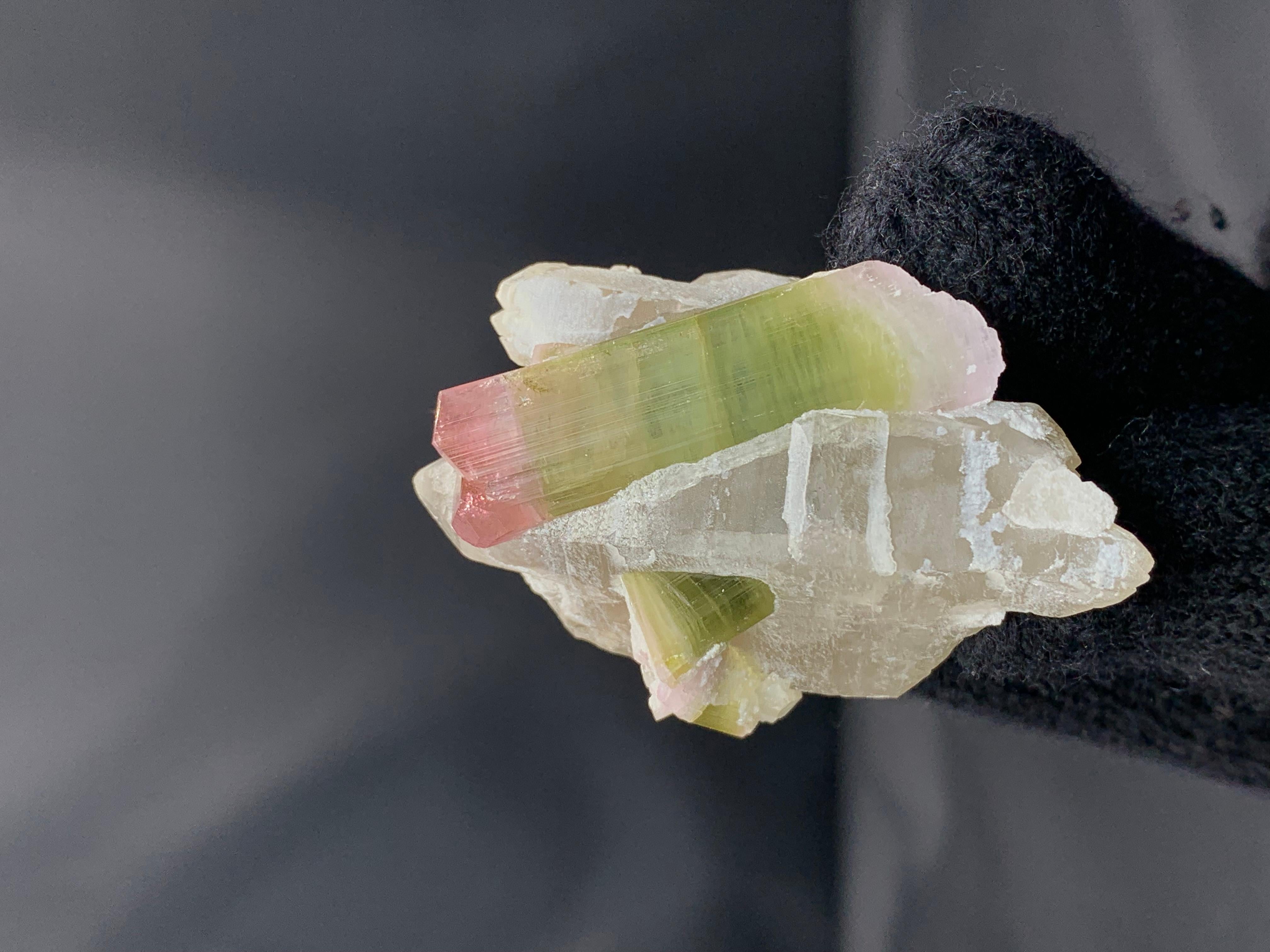 53 Grams Bi Color Tourmaline Crystals On Smoky Quartz From Afghanistan im Zustand „Hervorragend“ im Angebot in Peshawar, PK