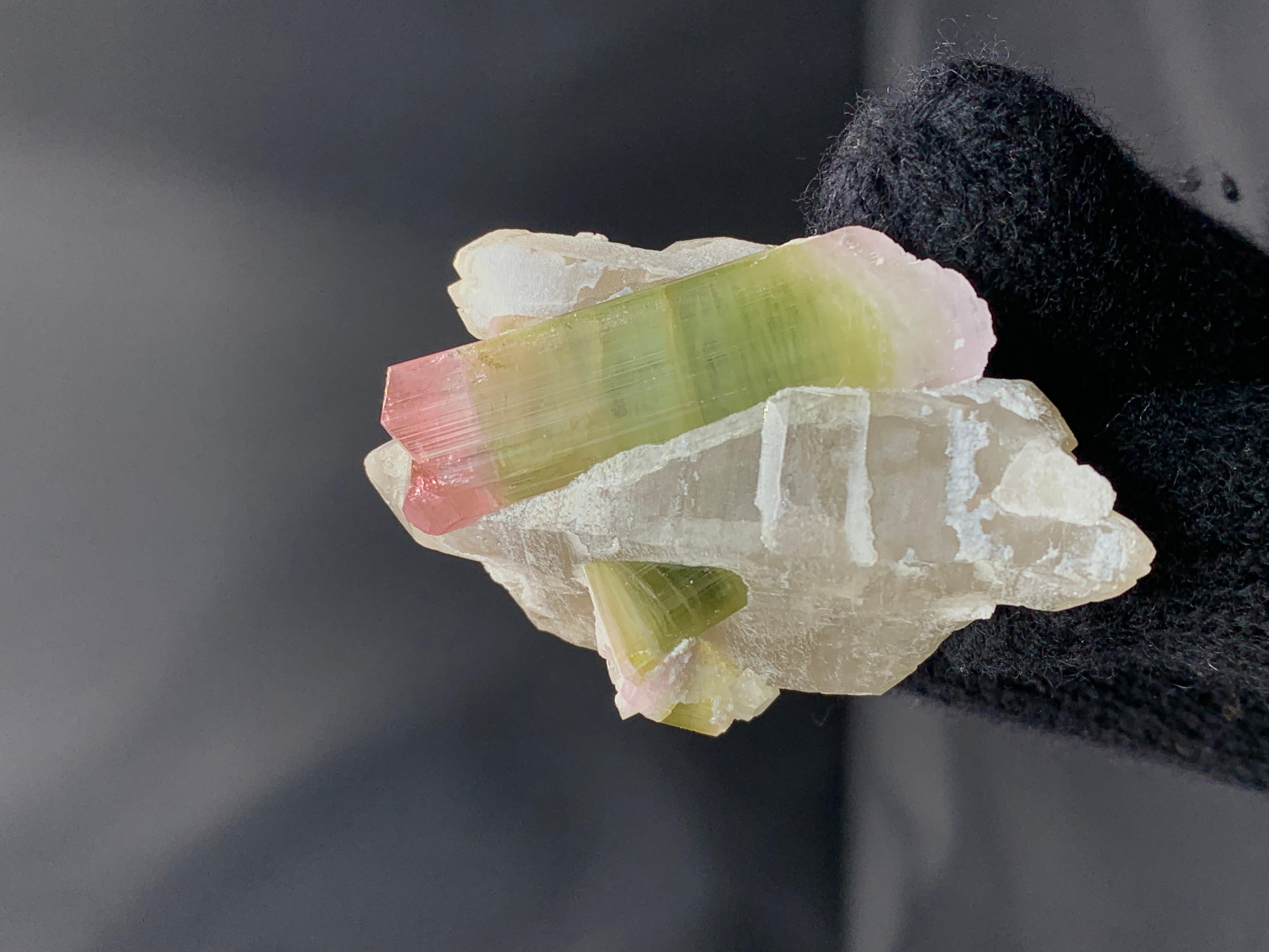 53 Grams Bi Color Tourmaline Crystals On Smoky Quartz From Afghanistan (21. Jahrhundert und zeitgenössisch) im Angebot
