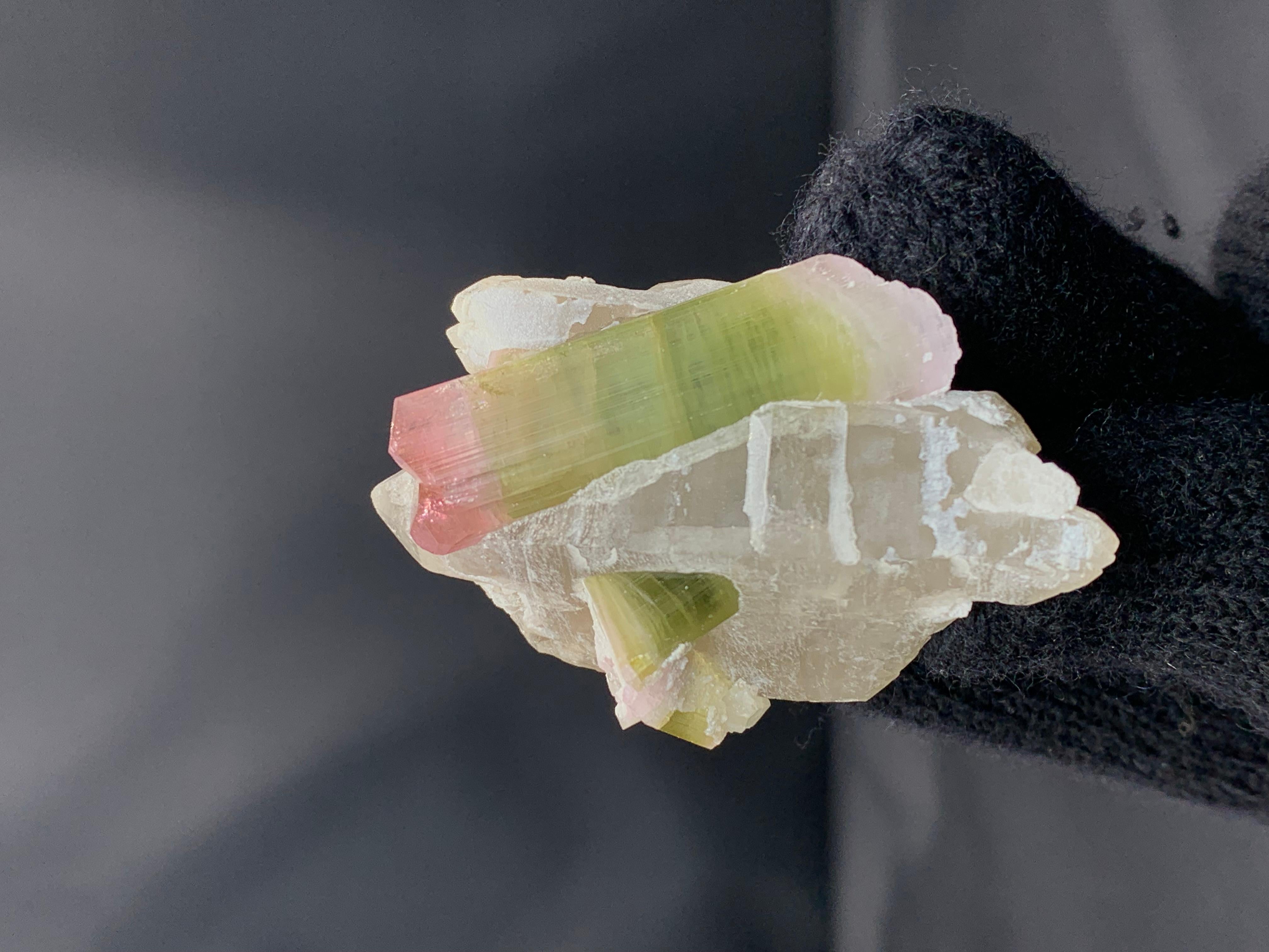 53 Grams Bi Color Tourmaline Crystals On Smoky Quartz From Afghanistan (Sonstiges) im Angebot