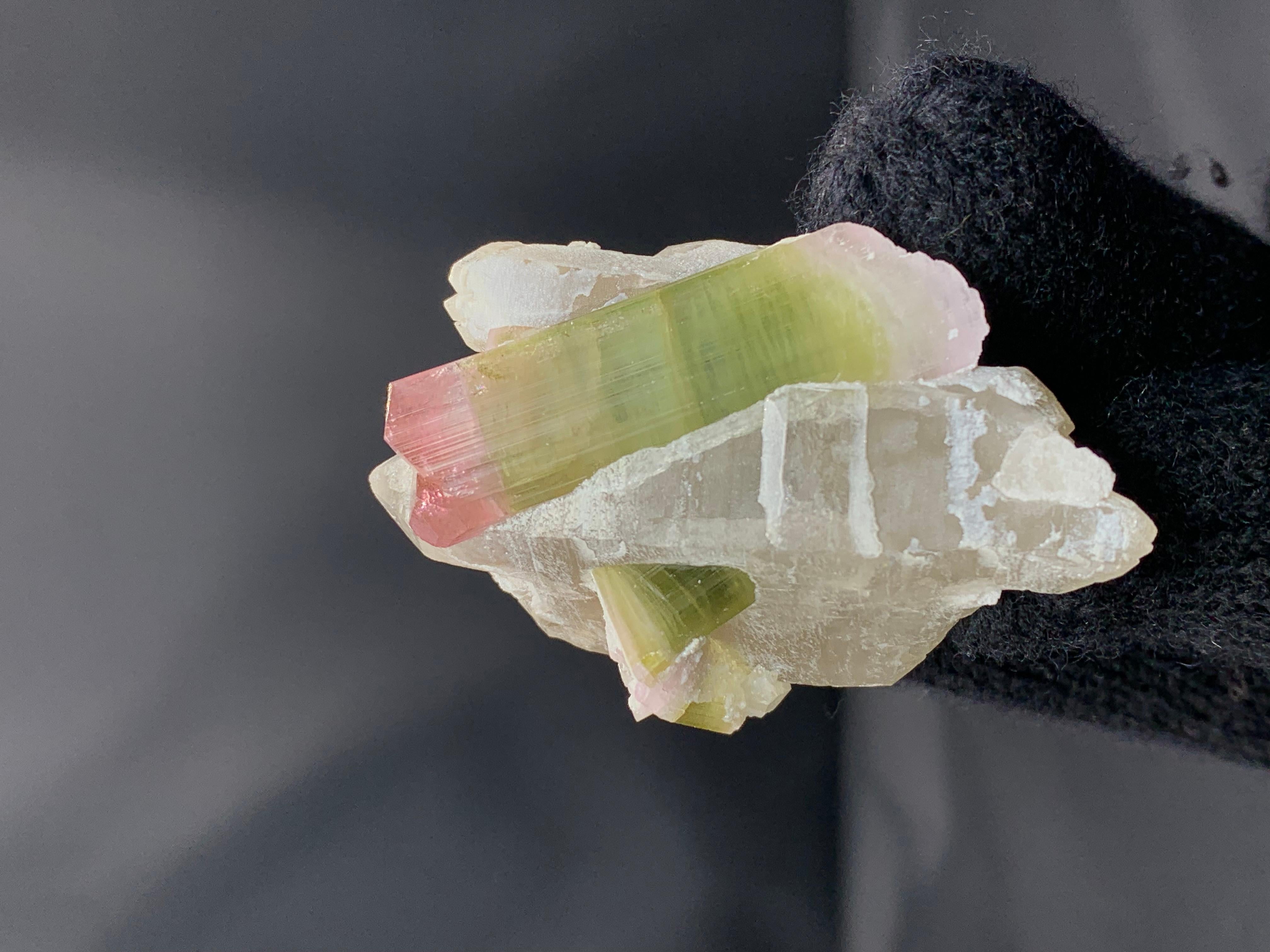 53 Grams Bi Color Tourmaline Crystals On Smoky Quartz From Afghanistan im Angebot 1