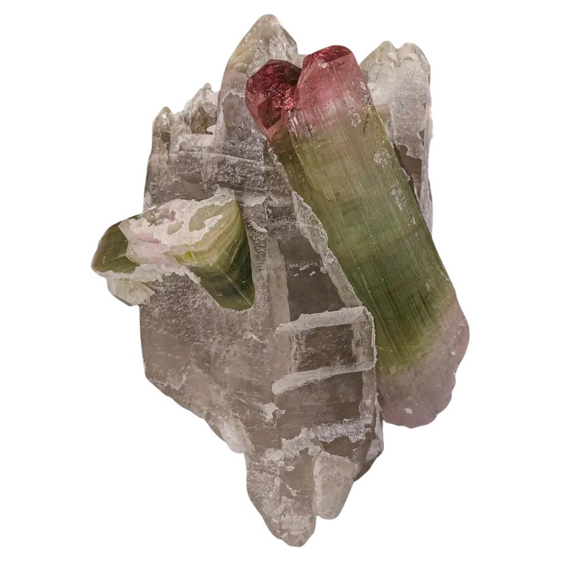53 gramos de cristales de turmalina bicolor sobre cuarzo ahumado procedentes de Afganistán