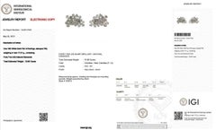 Wunderschöne Ohrringe aus 18 Karat Weißgold mit 16,80 Karat natürlichen Diamanten mit IGI-Zertifikat